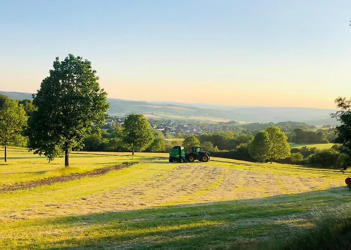 Tiny House Am Nuerburgring アパート ニュルブルク